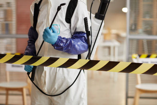 Professional Sewage Cleanup technician working in Alma, MI